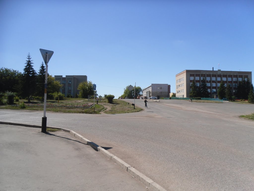 дом советов