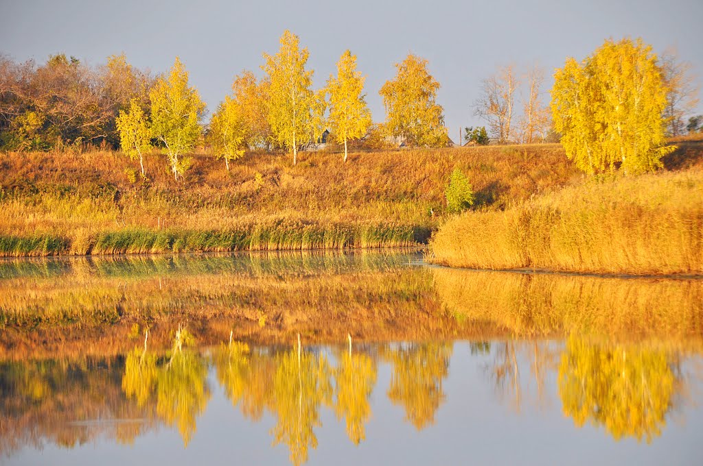 Золотая осень