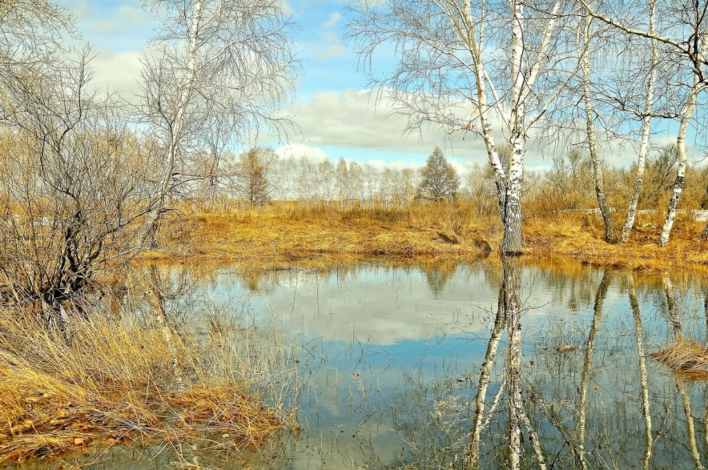 Весеннее отражение