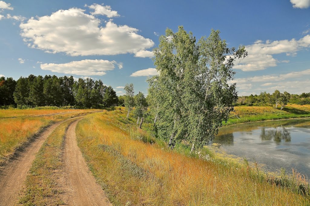 Дорога