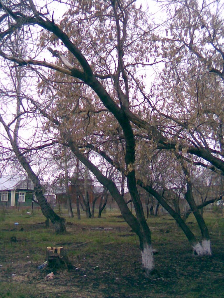 Крутинка, около церкви