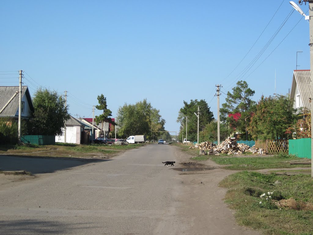 Крутинка. Улица Красный путь.