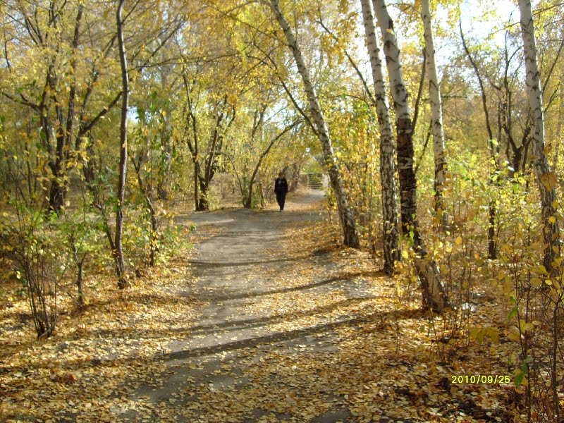 Осенняя дорожка