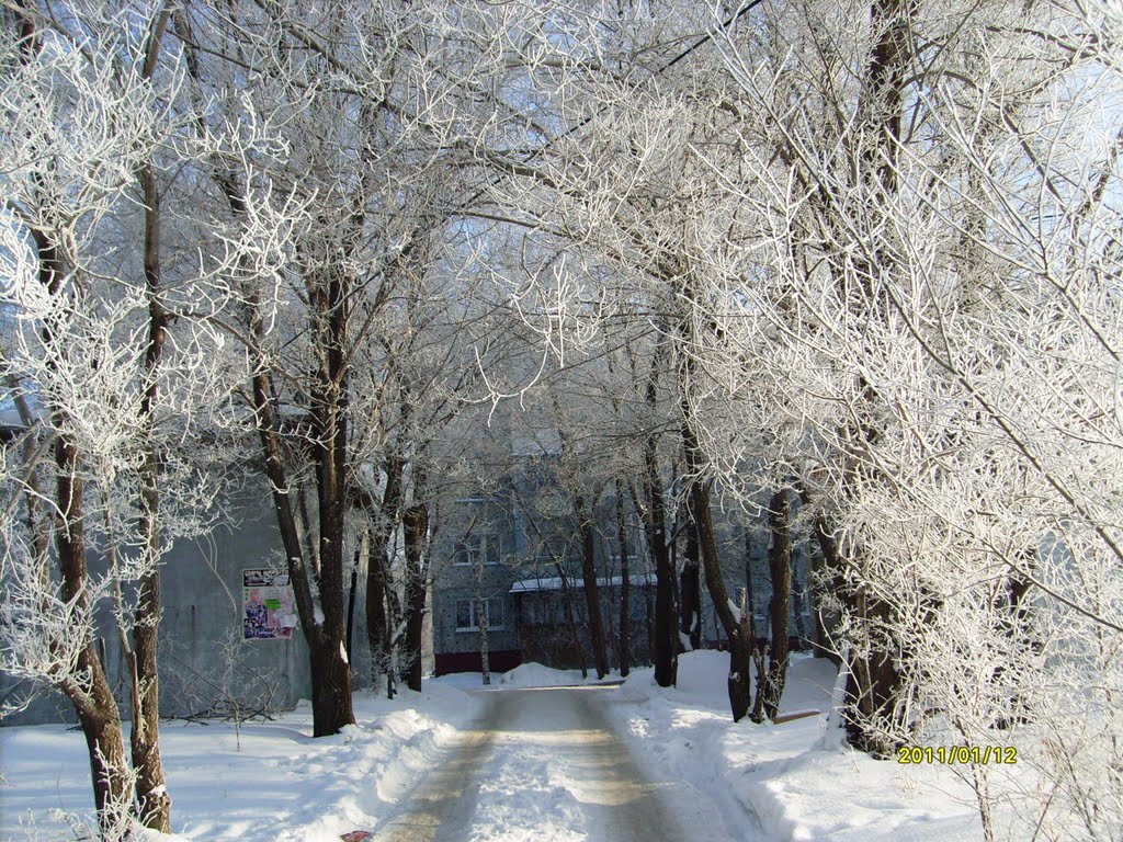 Омская зима