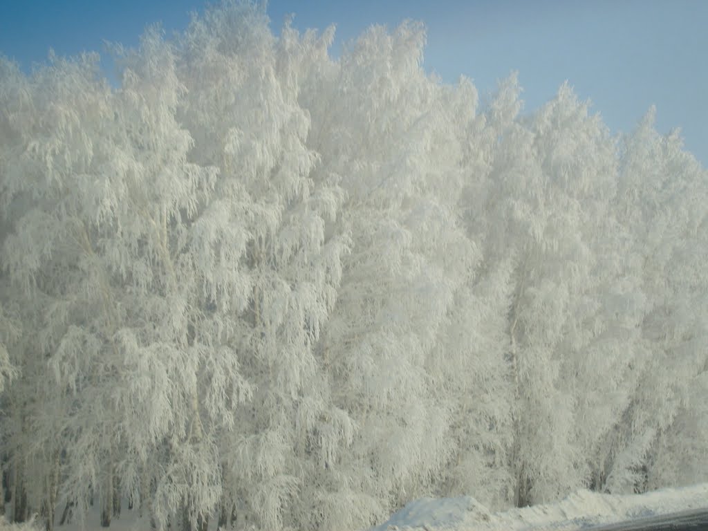 Moskalënki