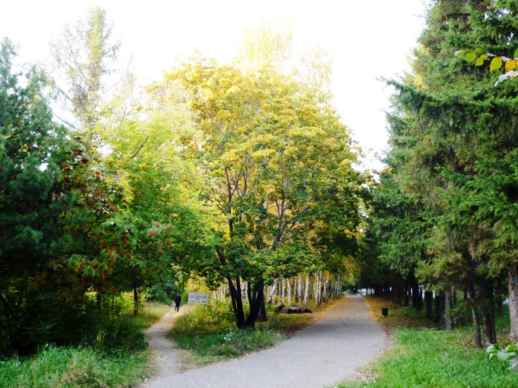 На перепутье