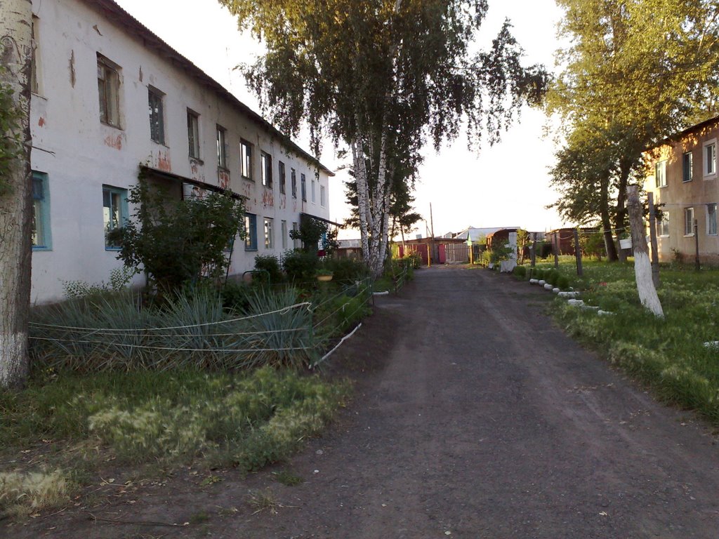 п.г.т. Марьяновка ул.Северная 1а