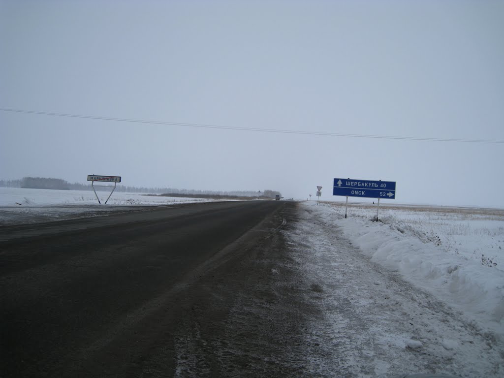 дорога на Щербакуль