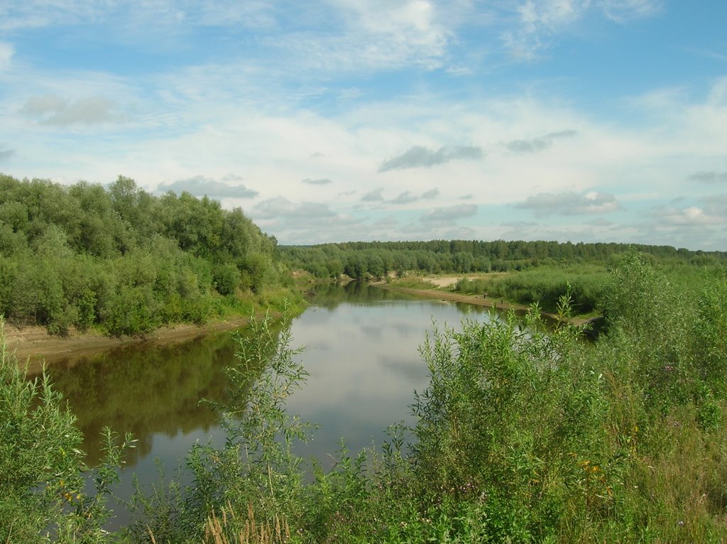 Муромцево, река Тара