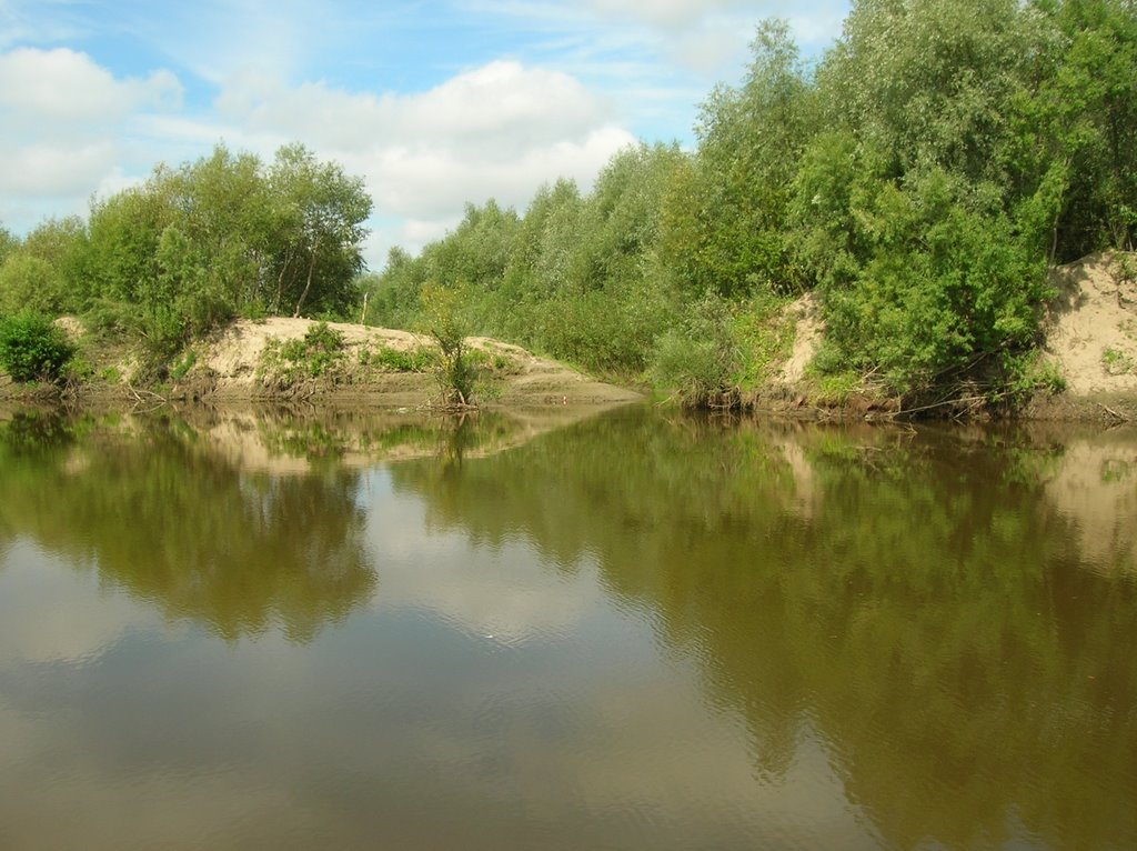 Муромцево, река Тара