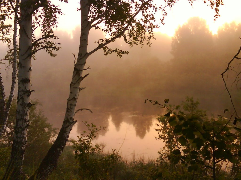 Старица утром