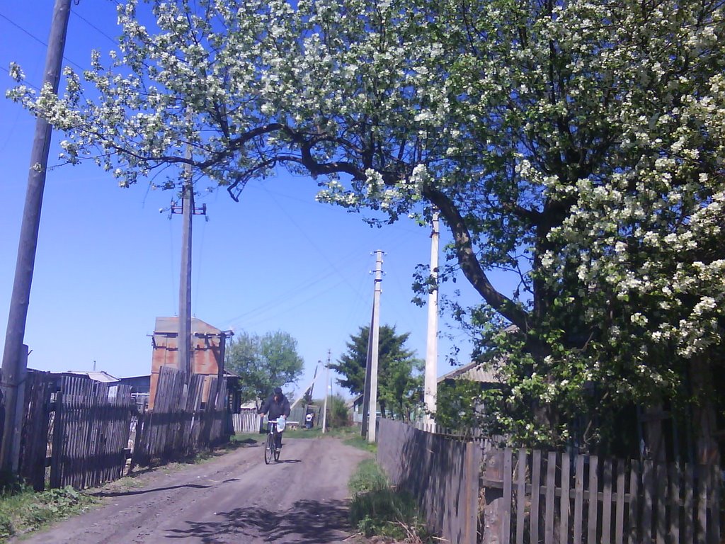 улица Партизанская