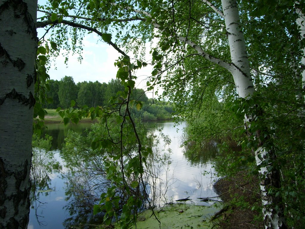 старица реки Тара