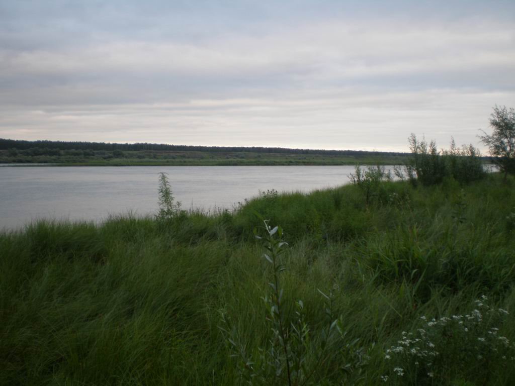 Иртыш в августе
