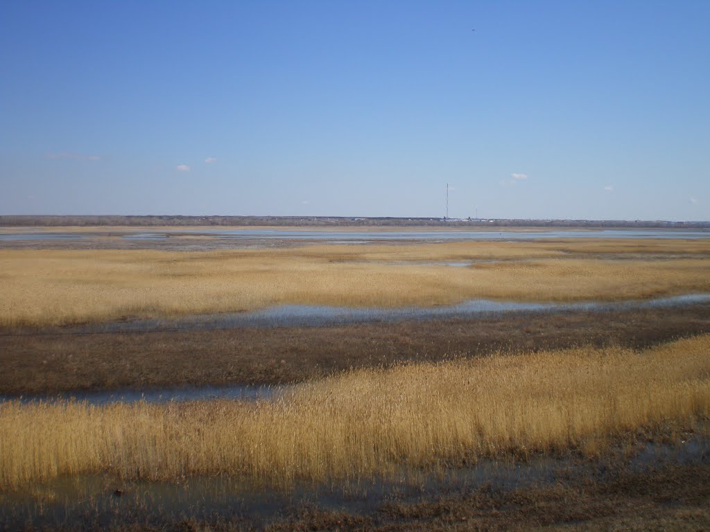 разлив 2013