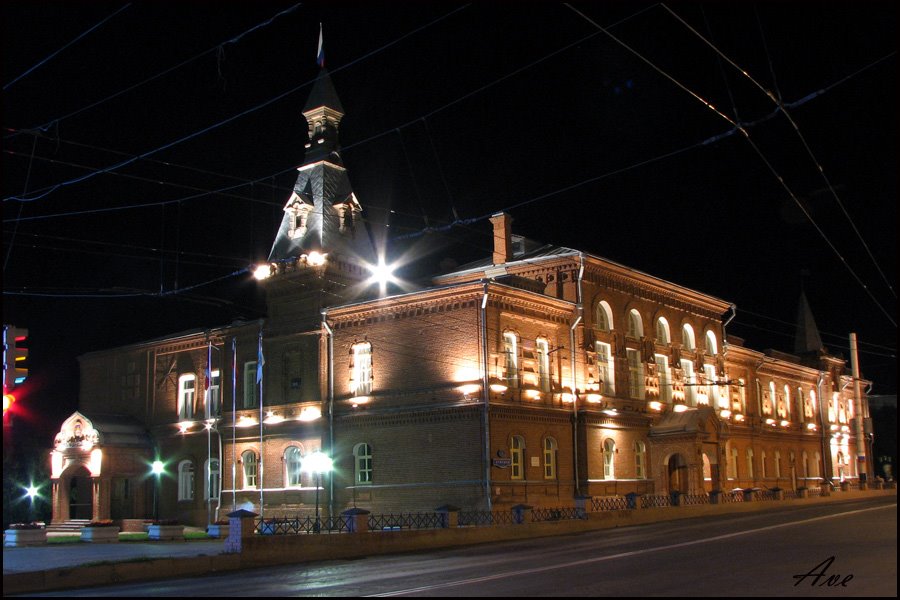 Omsk. Municipal duma building.