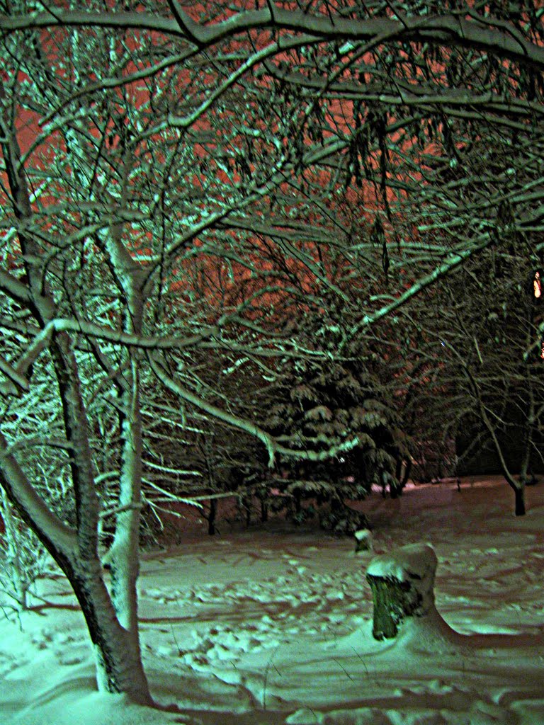 Полночь после снегопада = Midnight after a snowfall