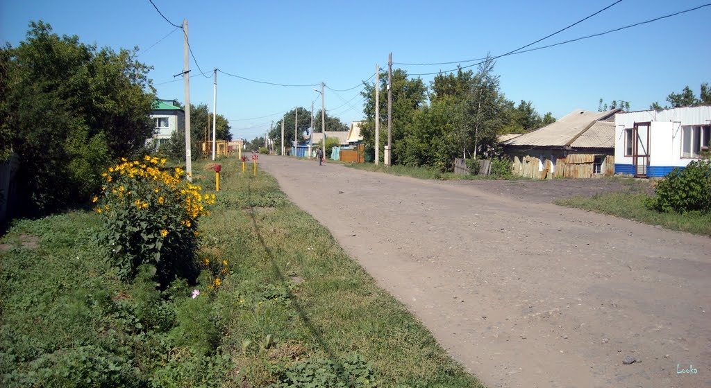 Полтавка, ул.Гуртьева