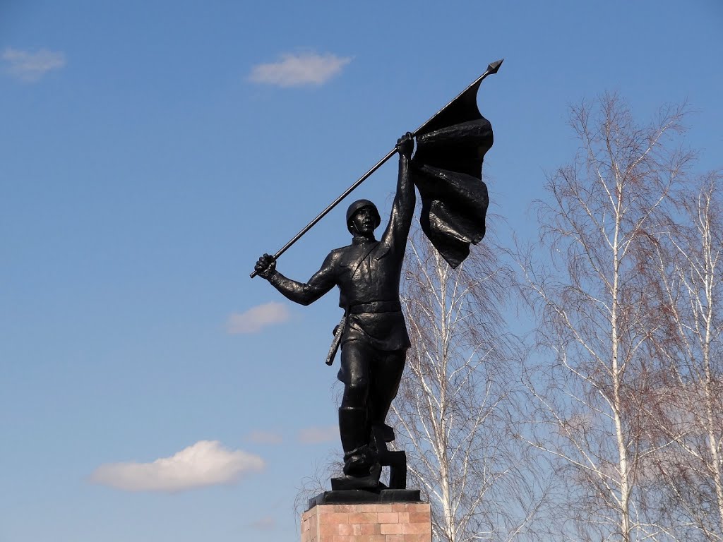 Воин освободитель