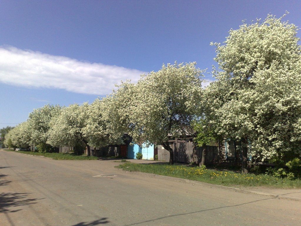 красота на моей улице
