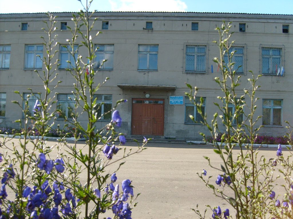 школа №12 г. Тары