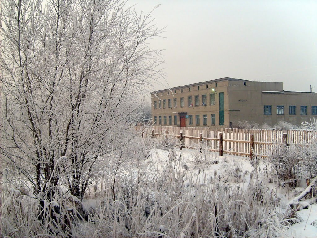 Школа №12 г. Тары