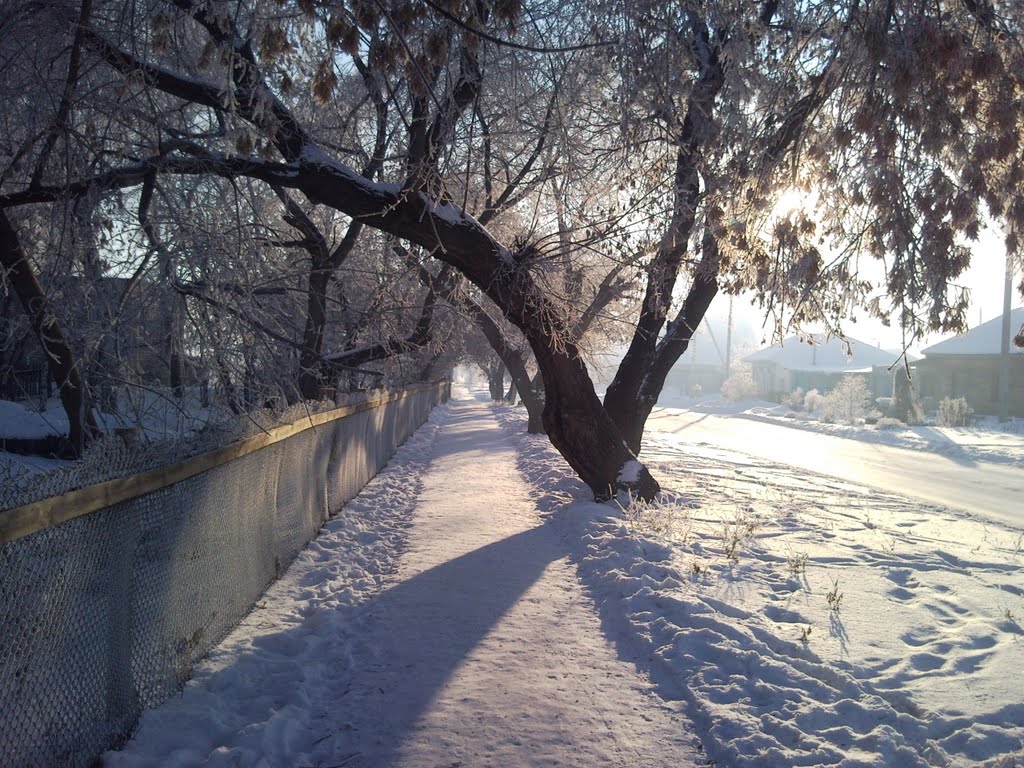 Тара, ул. Александровская