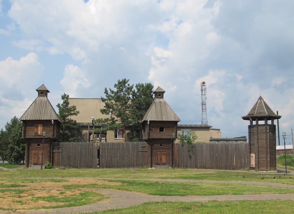 Тарская крепость