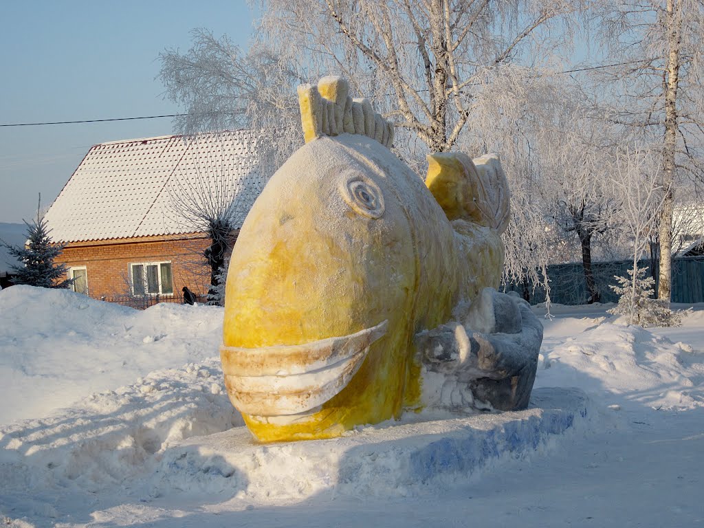 Царь рыба (поймана в Иртыше под Самсоновским мостом :)