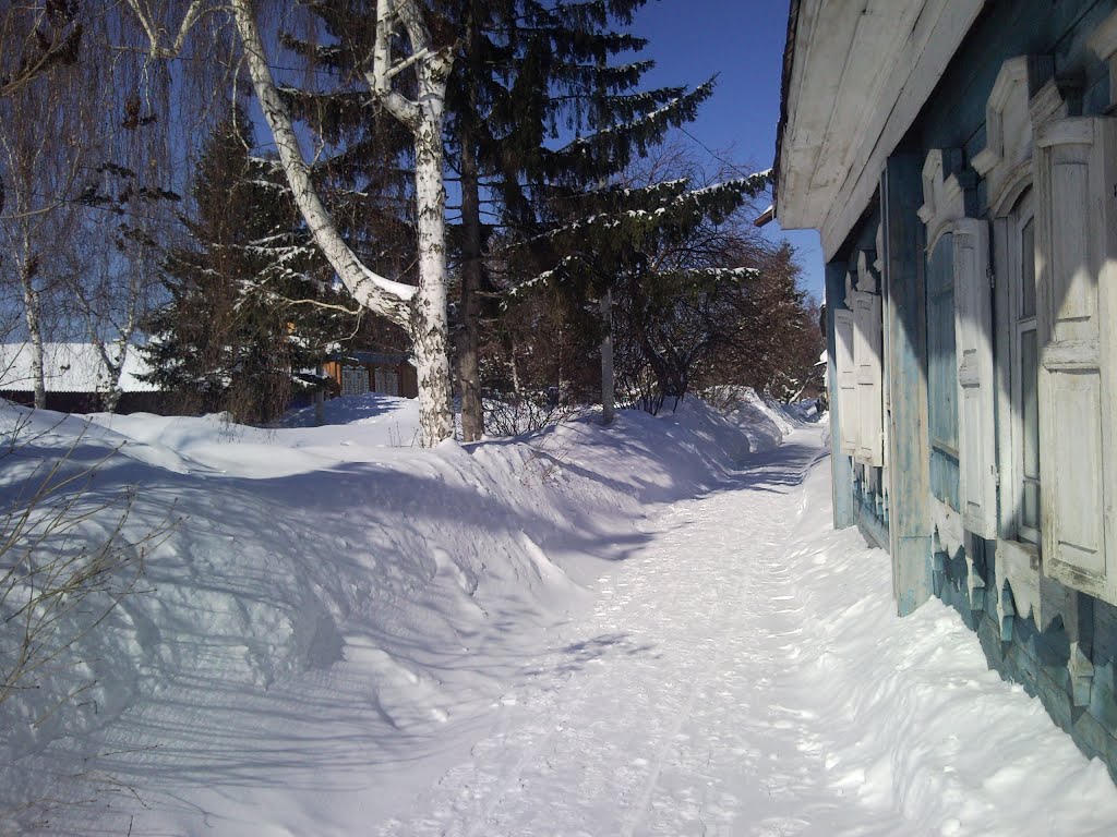 Снежный март 2013 г.