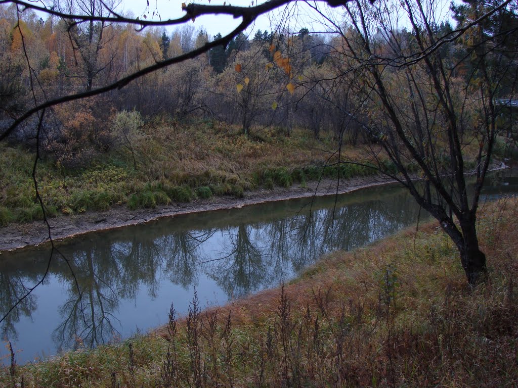 р. Тевриз