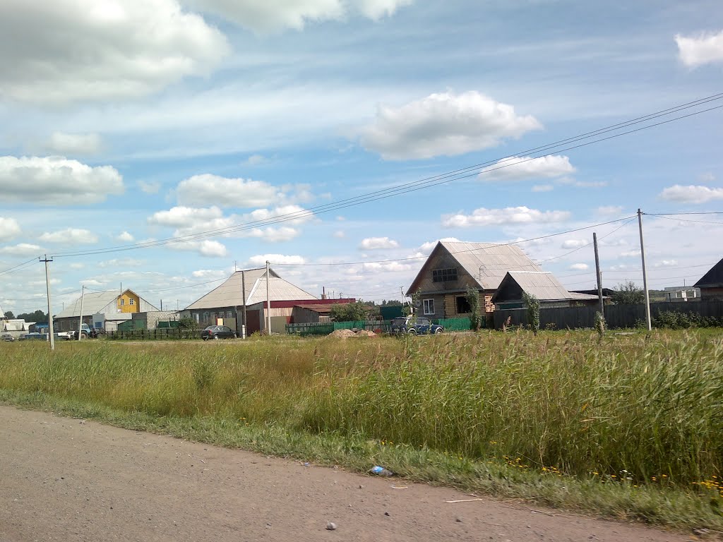 добротные дома, рядом с дорогой