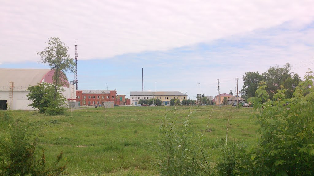 магазины за парком