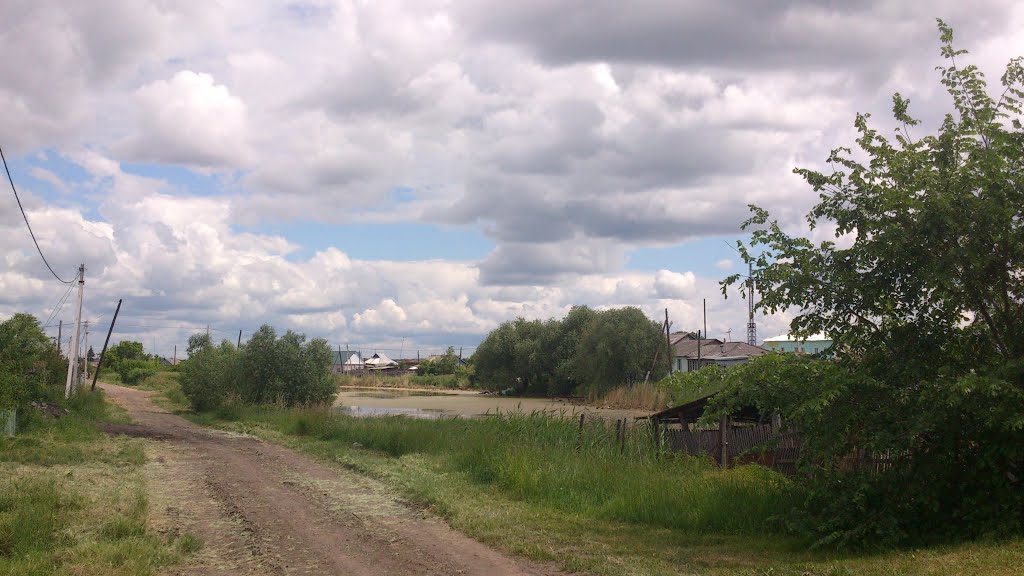 речка заросла