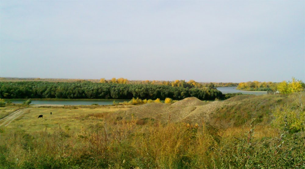 Черлакская пойма