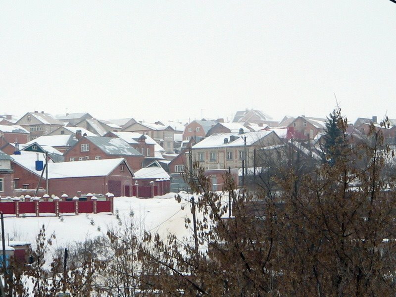 Бугуруслан, Дубовский сад