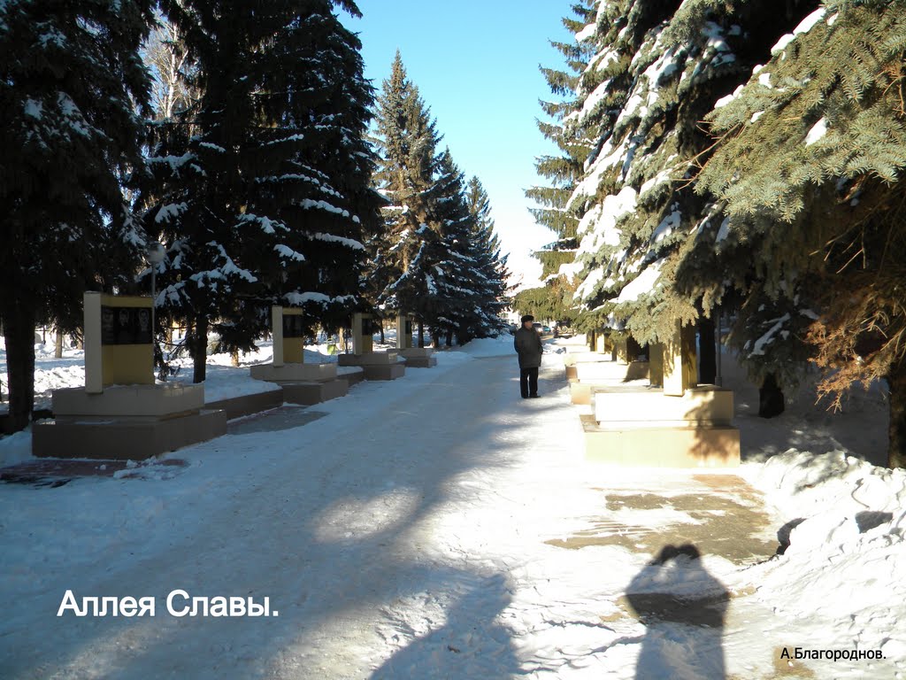Аллея Славы.