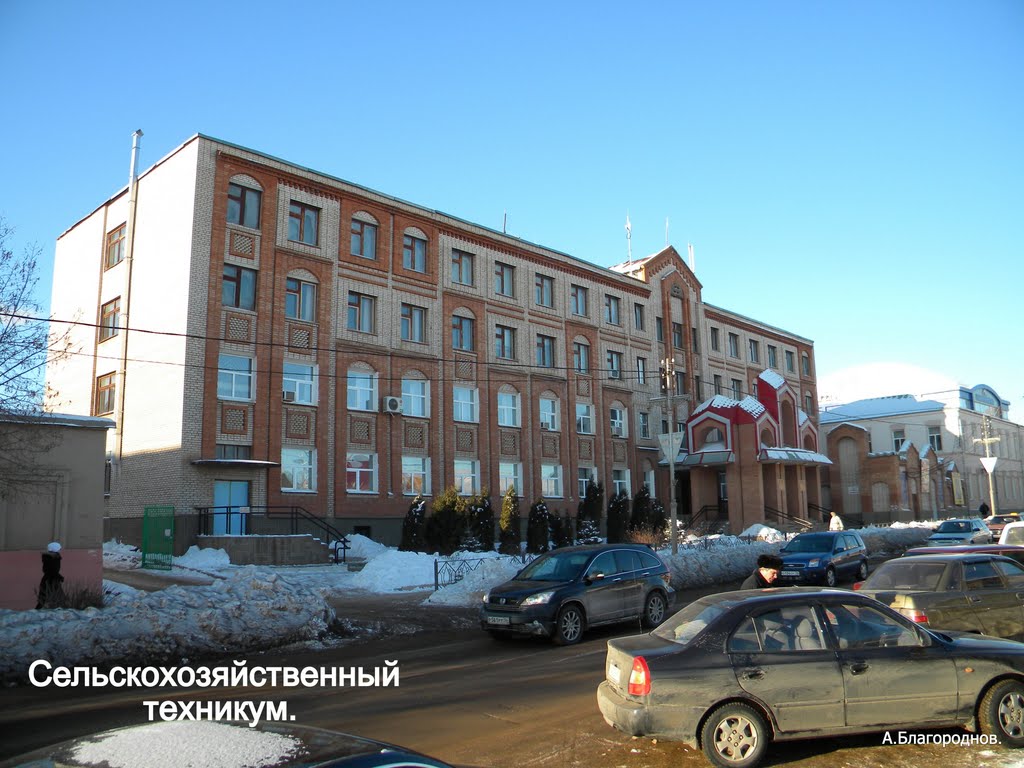 Сельскохозяйственный техникум.