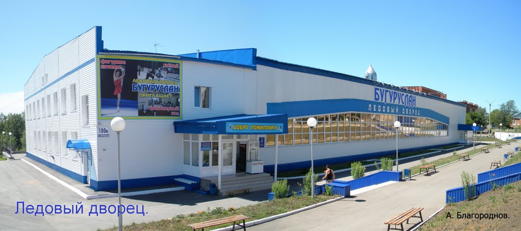 Ледовый дворец.