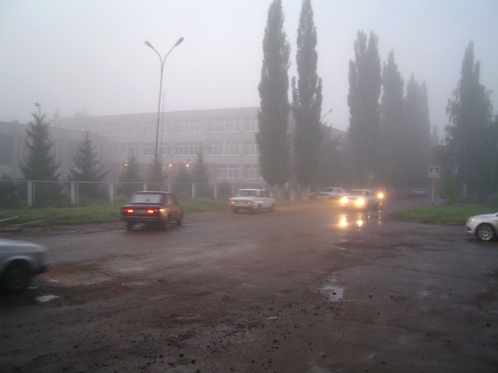 Школа № 8, ул. Галактионова.