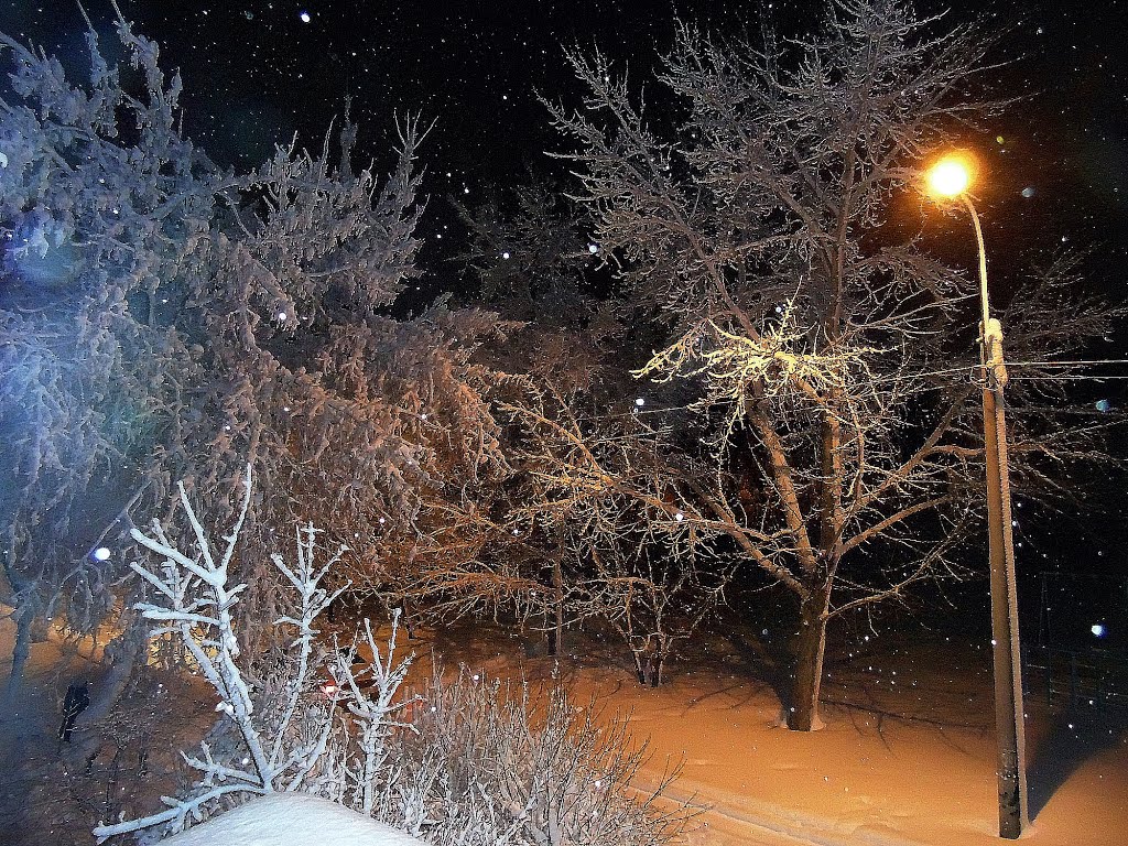 Весеннее утро