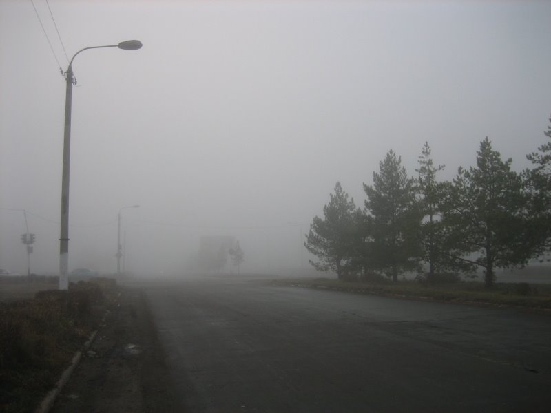 Утренний туман. Morning fog.