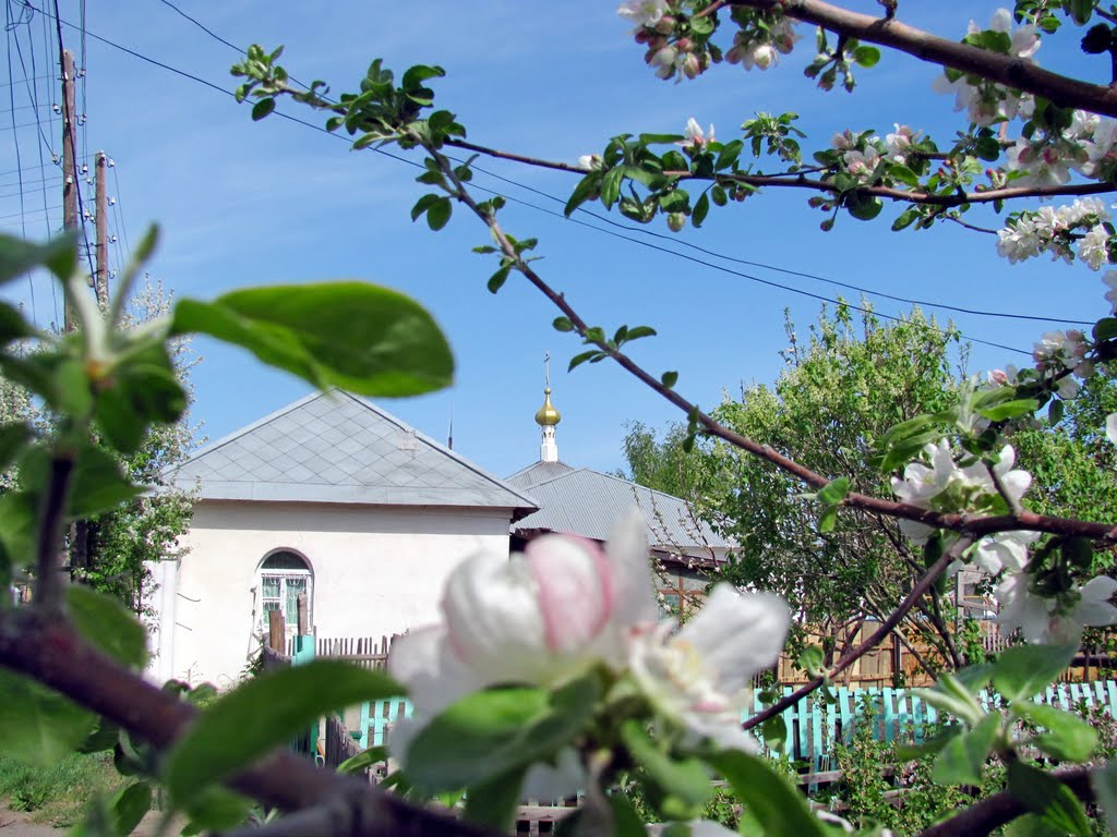 г.Гай