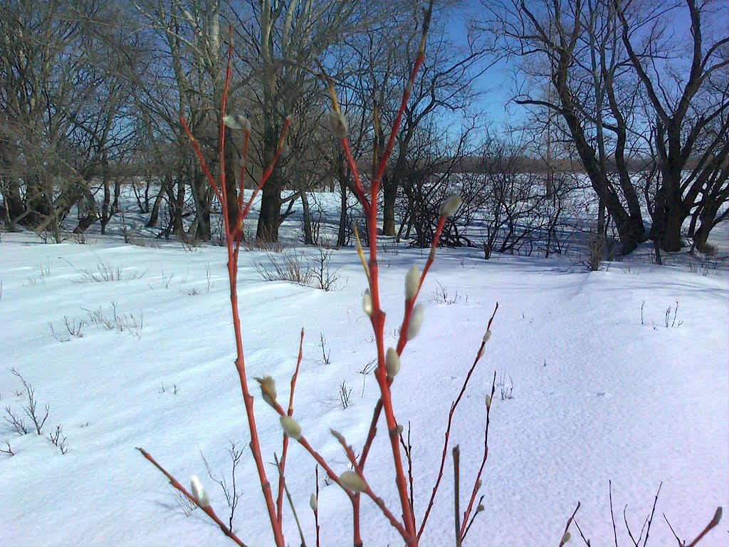 весна 2012