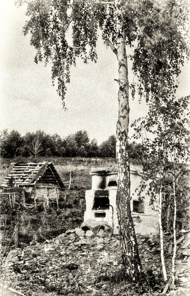 Здесь была деревня Михайловка. 1990г.