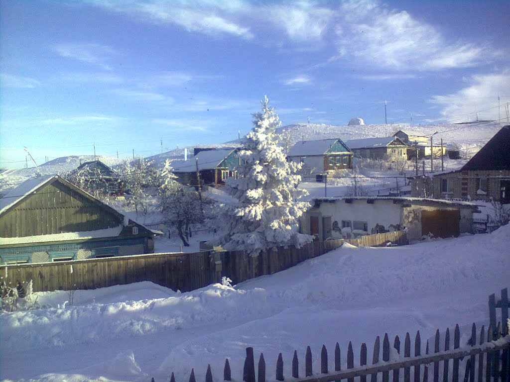 Ёлочка