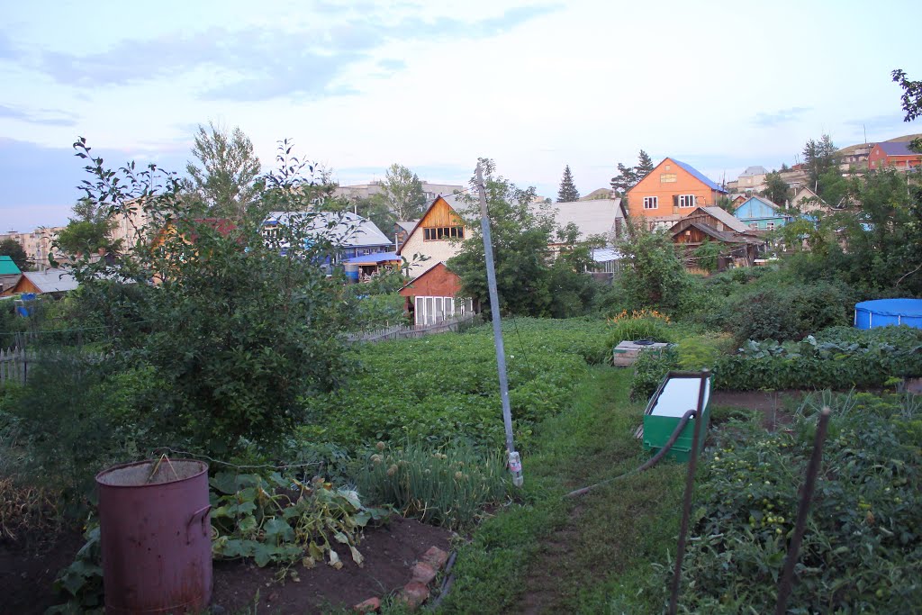 Дача_2012