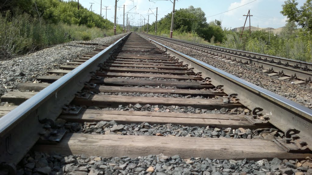 Ширококолейка