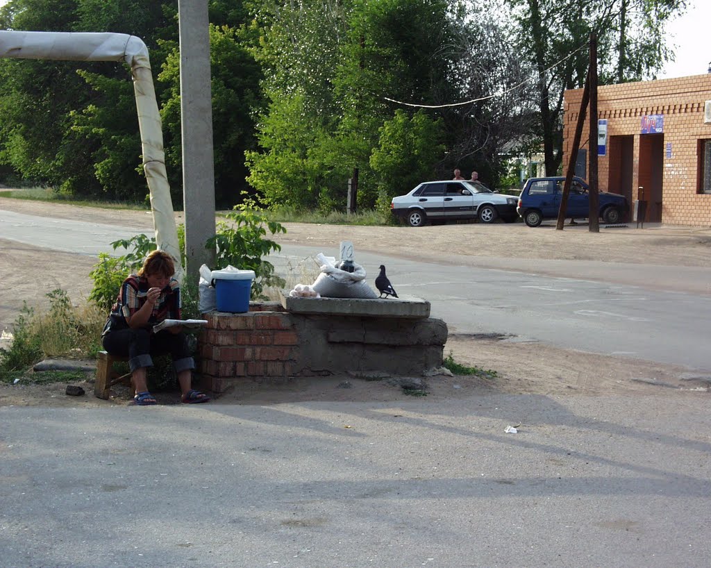 Пернатый покупатель