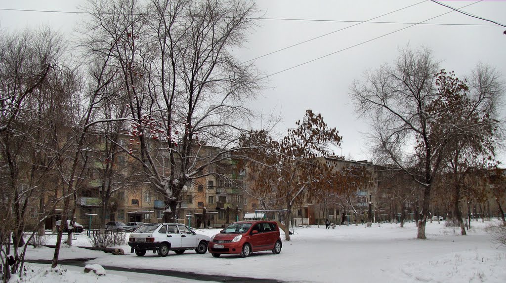 Во дворе ул.Есенкова 10